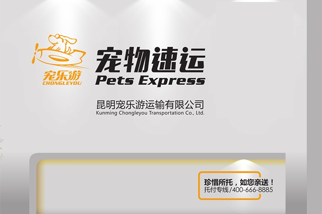 �����δ�D1