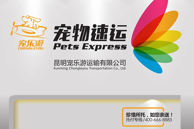 �����δ�D2