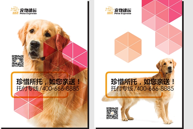 �����δ�D3