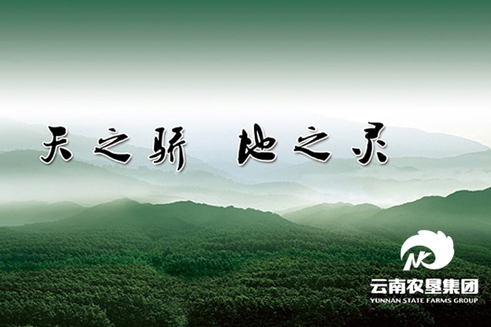 41-�r(n��ng)�����F(tu��n) (2)