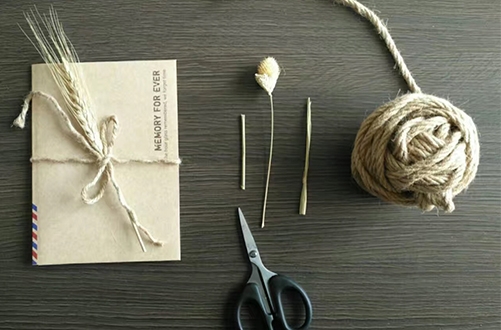 �������o��D1